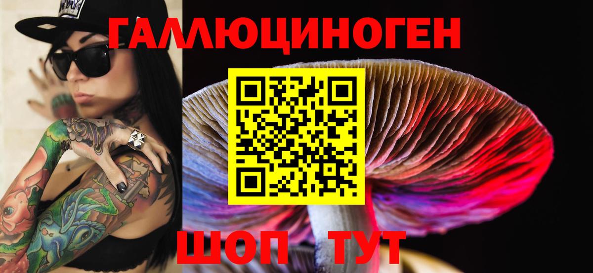 Галлюциногенные грибы MAGIC MUSHROOMS  Вход с VPN  Бийск 